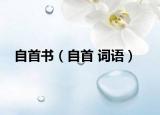 自首书（自首 词语）