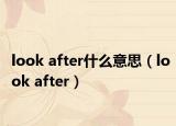 look after什么意思（look after）