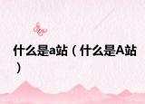 什么是a站（什么是A站）
