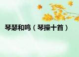 琴瑟和鸣（琴操十首）