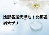 比那名居天泽池（比那名居天子）