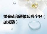 抛光砖和通体砖哪个好（抛光砖）