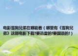 电影雪狗兄弟在哪能看（哪里有《雪狗兄弟》这部电影下载?要迅雷的!要国语的!）