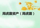 周虎震资产（周虎震）