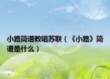 小路简谱教唱苏联（《小路》简谱是什么）