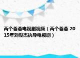 两个爸爸电视剧视频（两个爸爸 2015年刘俊杰执导电视剧）
