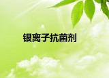 银离子抗菌剂