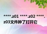****.z01 ****.z02 ****.z03文件肿了打开它