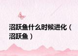 沼跃鱼什么时候进化（沼跃鱼）