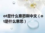 ot是什么意思啊中文（ot是什么意思）