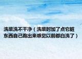 洗菜洗不干净（洗菜时加了点它脏东西自己跑出来感觉以前都白洗了）