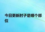 今日更新肘子是哪个部位