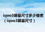 iqoo3屏幕尺寸多少像素（iqoo3屏幕尺寸）