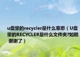 u盘里的recycler是什么意思（U盘里的RECYCLER是什么文件夹?如题 谢谢了）