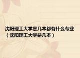 沈阳理工大学是几本都有什么专业（沈阳理工大学是几本）