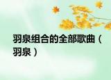羽泉组合的全部歌曲（羽泉）