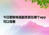 今日更新电视剧青瓷在哪个app可以观看