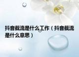 抖音截流是什么工作（抖音截流是什么意思）