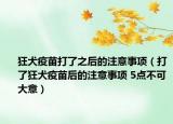 狂犬疫苗打了之后的注意事项（打了狂犬疫苗后的注意事项 5点不可大意）
