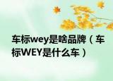 车标wey是啥品牌（车标WEY是什么车）