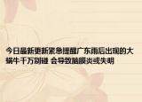 今日最新更新紧急提醒广东雨后出现的大蜗牛千万别碰 会导致脑膜炎或失明