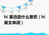 hi 英语是什么意思（hi 英文单词）