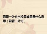 君看一叶舟出没风波里是什么意思（君看一叶舟）
