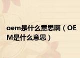 oem是什么意思啊（OEM是什么意思）