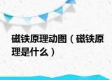 磁铁原理动图（磁铁原理是什么）
