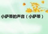 小萨蒂的声音（小萨蒂）