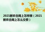 2021新农合网上怎样缴（2021新农合网上怎么交费）