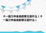 十一届三中全会的意义是什么（十一届三中全会的意义是什么）