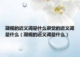 凝视的近义词是什么察觉的近义词是什么（凝视的近义词是什么）
