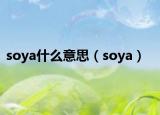 soya什么意思（soya）