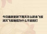 今日最新更新下雨天怎么赶走飞蚁 消灭飞蚁绝招为什么不能拍打