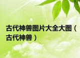 古代神兽图片大全大图（古代神兽）