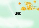绥化