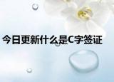 今日更新什么是C字签证