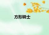 方形骑士