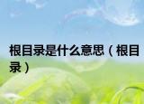 根目录是什么意思（根目录）