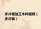 多片锯加工木料视频（多片锯）