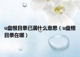 u盘根目录已满什么意思（u盘根目录在哪）