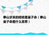 泰山求来的娃娃是童子命（泰山童子命是什么意思）
