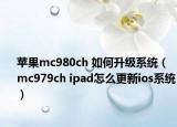 苹果mc980ch 如何升级系统（mc979ch ipad怎么更新ios系统）