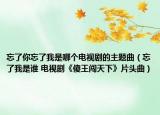 忘了你忘了我是哪个电视剧的主题曲（忘了我是谁 电视剧《傻王闯天下》片头曲）