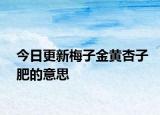 今日更新梅子金黄杏子肥的意思