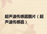超声波传感器图片（超声波传感器）