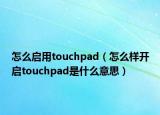 怎么启用touchpad（怎么样开启touchpad是什么意思）