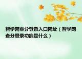 智学网查分登录入口网址（智学网查分登录功能是什么）