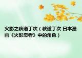 火影之秋道丁次（秋道丁次 日本漫画《火影忍者》中的角色）